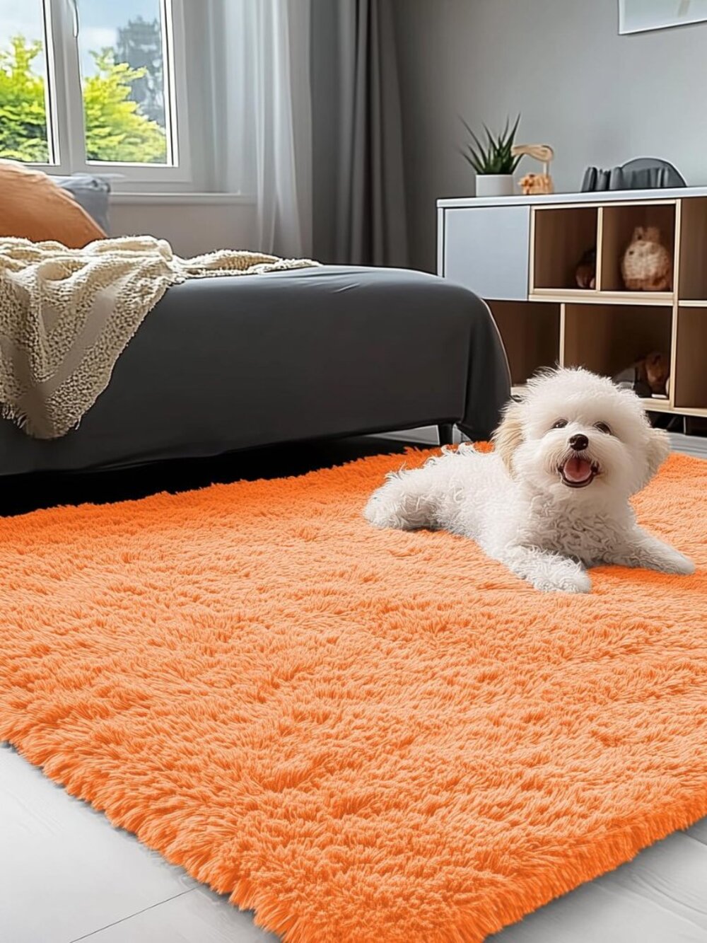 3x5 Machine Washable Small Bedside Rug, Soft Fluffy Shaggy Rugs for Living Room